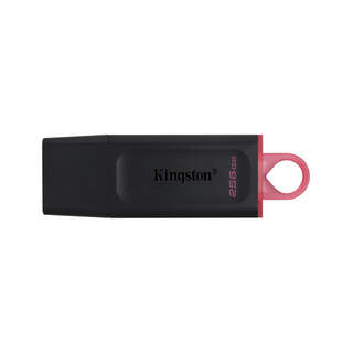 Kingston DataTraveler Exodia DTX/256GB 256GB USB 3.2 Gen 1 Siyah Pembe Flash Bellek