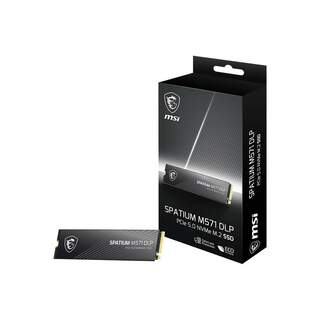 MSI SSD SPATIUM M571 DLP PCIE 5.0 NVME M.2 4TB 14600/10000 MB/s